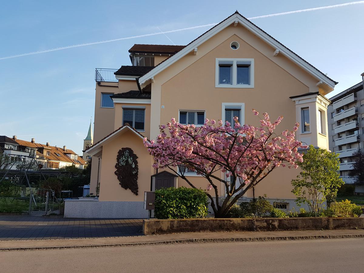 Niros Bed & Breakfast Birsfelden Extérieur photo